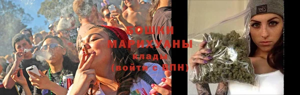 дмт Нея