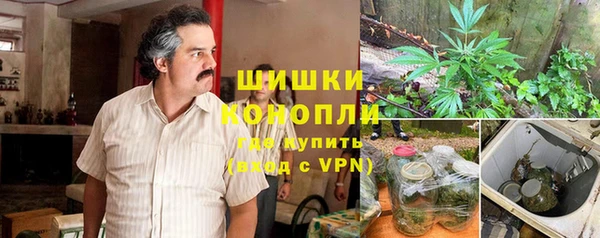дмт Нея