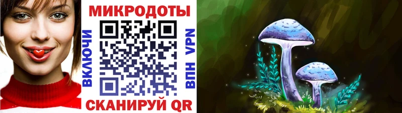 Псилоцибиновые грибы мицелий Ступино