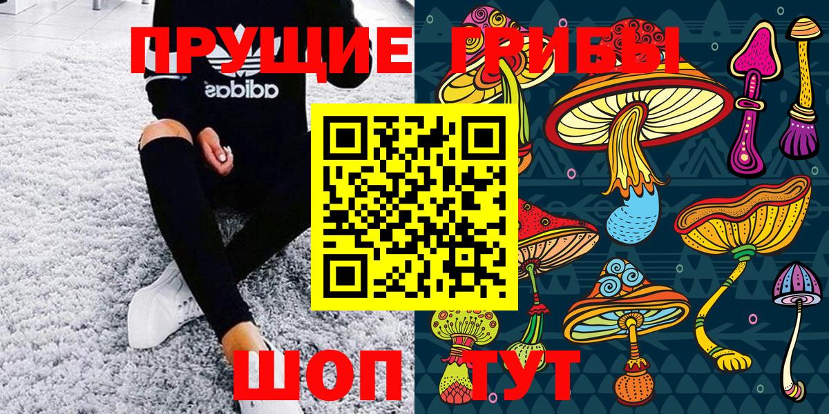 Ступино  Псилоцибиновые грибы Psilocybine cubensis  Вход с VPN 